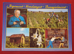 CPM -  Joyeuses Vendanges Beaujolaises - Beaujolais - Vigneron Di Beaujolais - Vin, Vigne - Autres & Non Classés