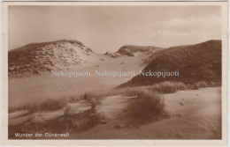 Kuršių Nerija, Kopos, Apie 1930 M. Atvirukas - Lithuania