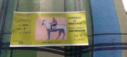 BIGLIETTO LOTTERIA DI MERANO  1982 - Lottery Tickets