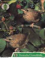 GERMANY(chip) - Puzzle Of 2 Cards, German Environmental Aid/Birds-Wren(O 1409-1410), Tirage 9000, 07/94, Mint - O-Series : Series Clientes Excluidos Servicio De Colección