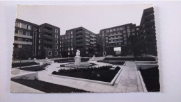 Carte Postale Ancienne ( AA10  ) De Maisons Alfort  , Les Ibm , Square Maurice Dufoumentelle - Maisons Alfort