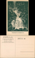 Ansichtskarte Triberg  Künstleransichtskarte Schwarzwald Eintritskarte 1928 - Triberg