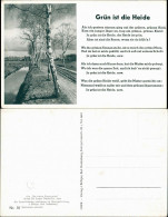 Ansichtskarte  Liedkarte: Grün Ist Die Heide (Der Kleine Rosengarten) 1952 - Musik