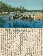Postcard Gabès Kamelkarawane Am Fluß 1915 - Tunisia