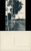 Ansichtskarte Elsterwerda Wikow Birkenweg, Elster - Kirche 1919 V - Elsterwerda