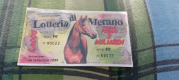 BIGLIETTO LOTTERIA DI MERANO  1989 - Lottery Tickets