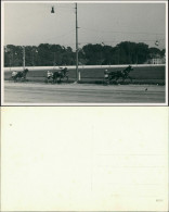 Echtfoto Galopprennbahn, Pferde Sport, Ort Unbekannt 1950 Privatfoto - Hippisme