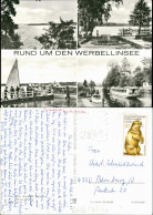 Ansichtskarte Altenhof-Werbellinsee-Schorfheide 4 Bild Fahrgastschiffe 1982 - Sonstige & Ohne Zuordnung