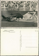 Ansichtskarte  Toroy Y Toreros, Stierkampfarena/Stierkampf 1955 - Autres & Non Classés