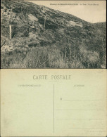 Frankreich Champ De Bataille 1914 La Tete à Vache Meuse Schlachtfeld 1.WK 1917 - Autres & Non Classés
