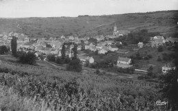 Arcenant - Vue Generale  - CPSM °J - Autres & Non Classés