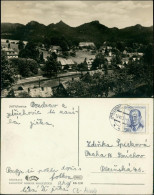 Postcard Dittersbach (Böhm. Schweiz) Jetřichovice Stadtpartie 1951 - Tchéquie