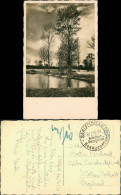 Stimmungsbilder: Natur Stempel Saalfeld Saale Notfrankatur 1946 - Unclassified