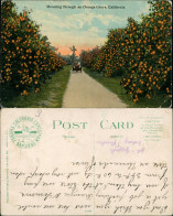 Postcard San Diego Motoring Through An Orange Grove EXPO 1914 - Autres & Non Classés