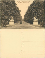 Dresden Auto, Großer Garten, Haupt Allee, Skulpturen Am Eingang 1910 - Dresden