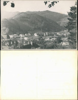 Echtfoto Privatfoto Ort Dorf Unbekannt, Berge Bergregion 1950 Privatfoto - Unclassified