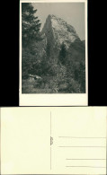 Echtfoto-Postkarte Mit Hütte Schutzhütte Alpen Region (Ort Unbekannt) 1950 - Non Classés