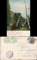 Serien-Postkarte "Tief Im Böhmerwald", Mann Pflückt Blumen 1905 - Personnages