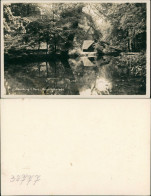 Ilsenburg (Harz) Teich Partie An Der Nagelschmiede, Schmiede 1940 Privatfoto - Autres & Non Classés
