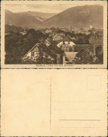 Ansichtskarte Ilsenburg (Harz) Brocken Fernsicht, Wohnhäuser Dorfmitte 1920 - Autres & Non Classés
