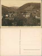 Ilsenburg (Harz) Wohnhäuser Im Ilsetal Mit Brocken Fernansicht 1920 - Autres & Non Classés