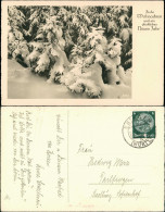 Ansichtskarte  Glückwunsch - Weihnachten Und Neujahr Verschneite Tannen 1941 - Neujahr