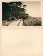.Mecklenburg-Vorpommern Ostsee Balticsea Strandweg - Bäume 1930 Privatfoto - Sonstige & Ohne Zuordnung
