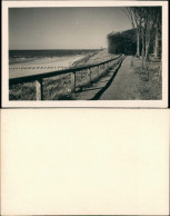 .Mecklenburg-Vorpommern Ostsee Promenade Am Strand Bäume Dünen 1930 Privatfoto - Altri & Non Classificati
