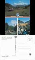 Postcard Javorina ústie Do Javorovej Doliny 1989 - Slowakei