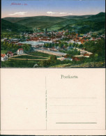 Münster (Elsass) Munster (Haut-Rhin) Gesamtansicht Aus Der Totale 1910 - Sonstige & Ohne Zuordnung