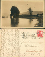 Ansichtskarte Zürich Umlandansicht Zürisee Zürichsee Ufer Partie 1913 - Autres & Non Classés