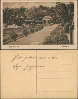 Bad Pyrmont Botanik Grünanlagen Partie Im Palmen Garten Palms Garden 1920 - Bad Pyrmont