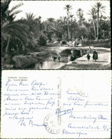 Tozeur توزر, ⵜⵓⵣⵔ Tuzer Oued-El-Beled Territori, Native Scene  Wasser Oase 1961 - Tunisie