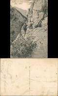 Ansichtskarte Altenberg An Der Rax Bergsteiger Am Akademikersteig 1909 - Other & Unclassified