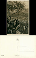Cartoline Monreale Fauna / Pflanzen Kaktus Panorama Monreale 1940 - Other & Unclassified