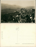 Monreale Fauna Pflanzen Kaktus Panorama Blick Conca D`Oro, Monreale 1930 - Other & Unclassified