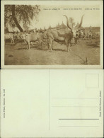 Nubien Scene On The White Nile/Tier Herde Am Weissen Nil (Fluss) 1930 - Other & Unclassified