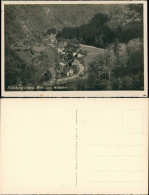 Ansichtskarte Treseburg Teilansicht Auf Wohnhäuser, Blick Vom Wildstein 1930 - Other & Unclassified