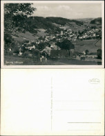 Geising-Altenberg (Erzgebirge) Umland-Ansicht Kuh Auf Weide, Vogelschau  1950 - Geising