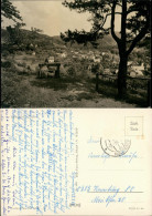 Ansichtskarte Sitzendorf Panorama-Ansicht Vom Waldweg Aus DDR Postkarte 1966 - Autres & Non Classés