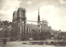 *CPSM - 75 - PARIS  - Notre Dame - Vue Du Square René Viviani - Notre Dame De Paris