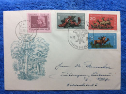 DDR - 1959 Brief Aus Zitten - SST "Schütz Die Natur" (3DMK002) - Briefe U. Dokumente