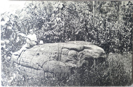 C. P. A. : GUATEMALA : The Toad, Ruins Of QUIRIGUA, Animé - Guatemala