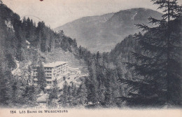 SUISSE(WEISSENBURG) LES BAINS - Autres & Non Classés