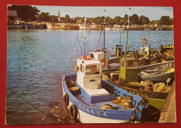 CPM - Loctudy -(Sud-Finistère) - Le Port - (bateau Pêche ) - Loctudy