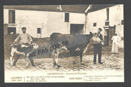 HAUTEFEUILLE  Domaine Des Tournelles  LUCRECE  / COMTESSE / Vache Et Veau  Carte Neuve - Autres & Non Classés