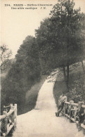 P6-75--PARIS-Buttes-Chaumont Une Allee Rustique - Parchi, Giardini