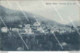 Cd341 Cartolina Quarna Sopra Panorama Provincia Di Novara 1928 - Novara