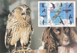 Owl, Owls, Eagle-owl, Hibou Grand-duc, Rapace NEDERLAND - 1995 Carte Maximum Card ,CM,MAXI CARD - Búhos, Lechuza