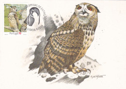 Owl, Owls, Eagle-owl, Hibou Grand-duc, Rapace BUFO REAL, PORTUGAL - 1993 Carte Maximum Card ,CM,MAXI CARD - Hiboux & Chouettes